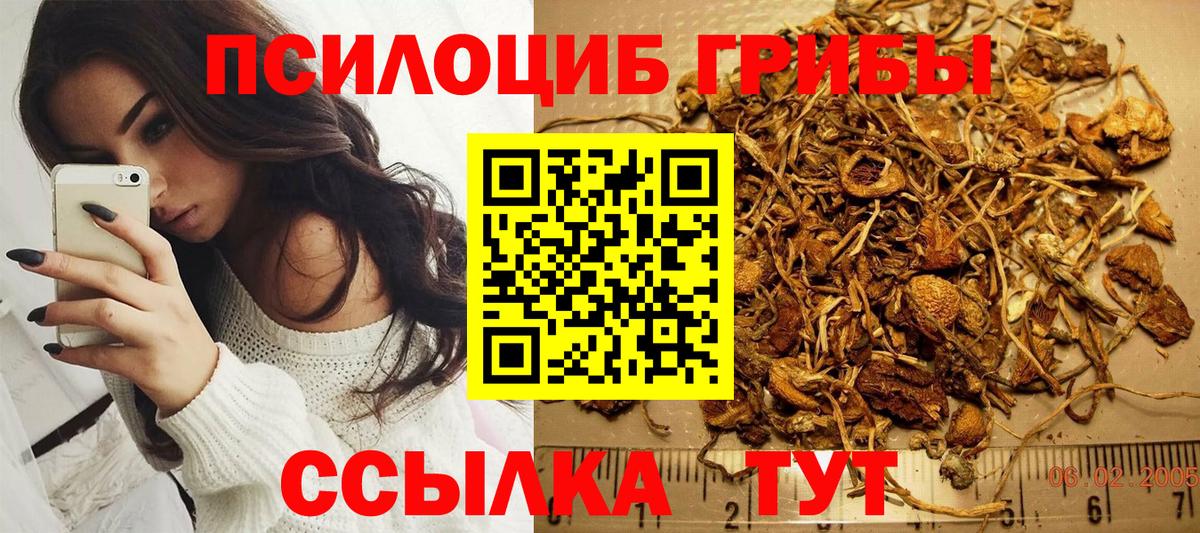 Галлюциногенные грибы прущие грибы  Псилоцибиновые грибы прущие грибы  Еманжелинск  купить  сайты  Вход с VPN 